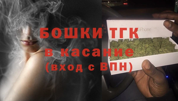 ПСИЛОЦИБИНОВЫЕ ГРИБЫ Бородино