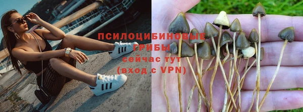 ПСИЛОЦИБИНОВЫЕ ГРИБЫ Бородино