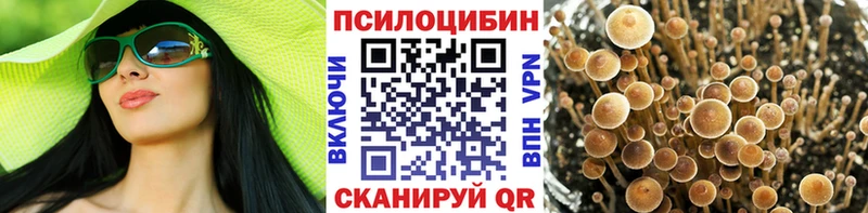 Галлюциногенные грибы Psilocybine cubensis  Купить  Асбест 