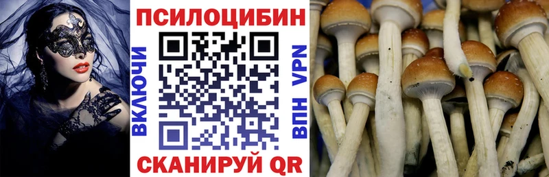 Галлюциногенные грибы Psilocybine cubensis Асбест